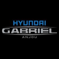 Hyundai Gabriel Anjou image 15